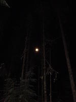 DSC02481