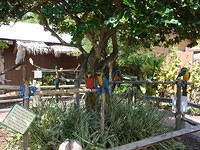 DSC02500