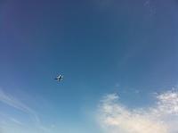 IMG 0439