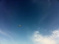 IMG 0440