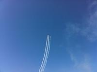 IMG 0462