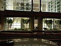 IMG 0446