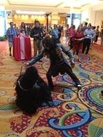 IMG 0658