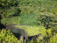 DSC02605