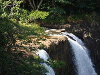 DSC02608