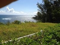 IMG 0749