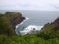 DSC02768