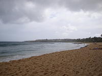 DSC02774