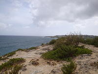 DSC02779