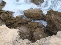 DSC02781