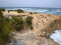 DSC02786