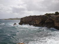 DSC02789