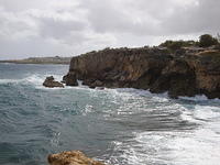 DSC02791