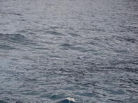 DSC02808