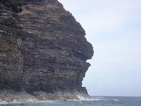 DSC02821