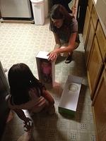 IMG 0823