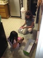 IMG 0830