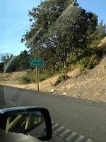 IMG 0838