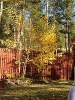 IMG 0904