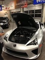 IMG 0955