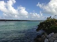 IMG 0982