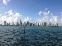 IMG 0983