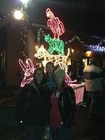 2012-12-22 Zoo Lights