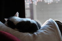 IMG 0154-2