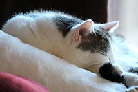 IMG 0159-2