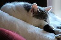 IMG 0160-2