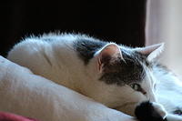 IMG 0162-2