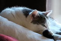 IMG 0163-2