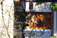 IMG 0167 2