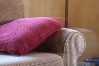IMG 0181-2