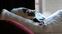 IMG 0186-2