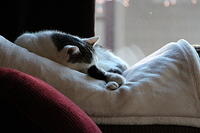 IMG 0187-2