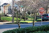 IMG 0203-2