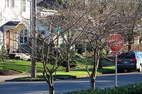 IMG 0204-2
