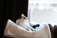 IMG 0230-2