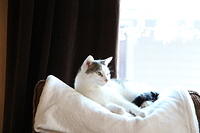 IMG 0232-2