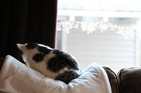 IMG 0248-2