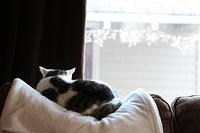 IMG 0249-2