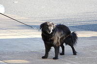 IMG 0298-2