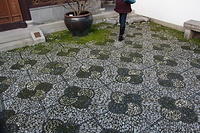 IMG 0601