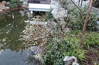 IMG 0605