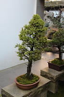 IMG 0609
