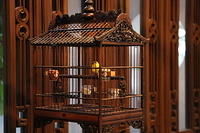 IMG 0626