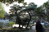 IMG 0632