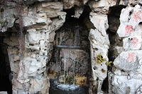 IMG 0638