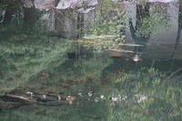 IMG 0653